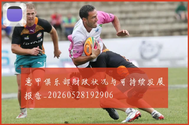意甲俱乐部财政状况与可持续发展报告_20260528192906